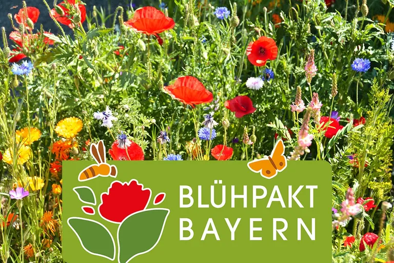 Bl&uuml;hender Betrieb