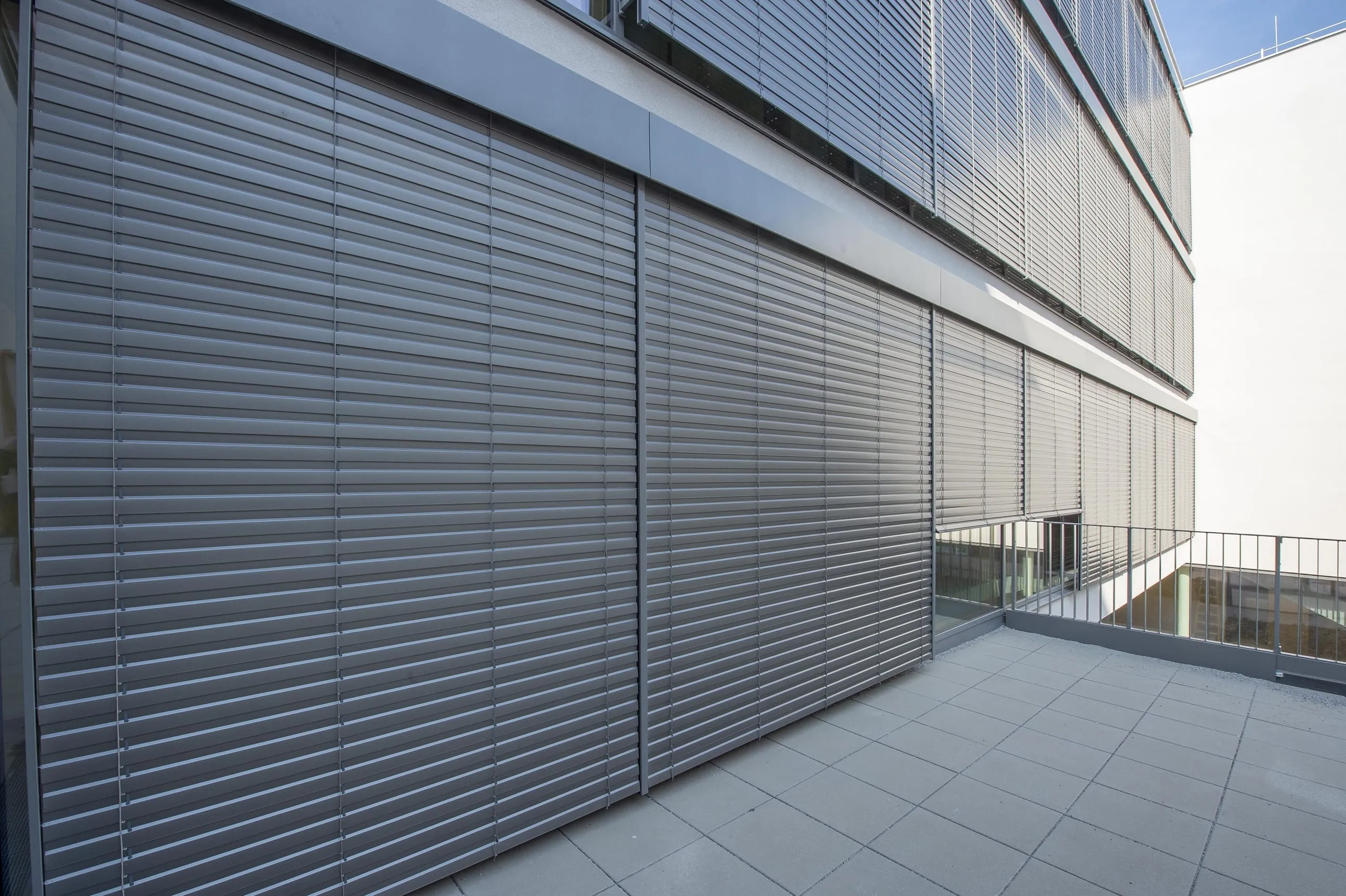 Zip-Fenstermarkise mit integriertem Insektenschutz von Valetta