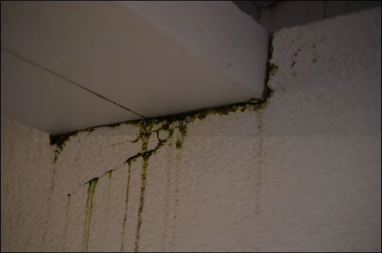 Das Regenwasser läuft nicht links und rechts ab, sondern in der Mitte über und verursacht Schäden am Putz.