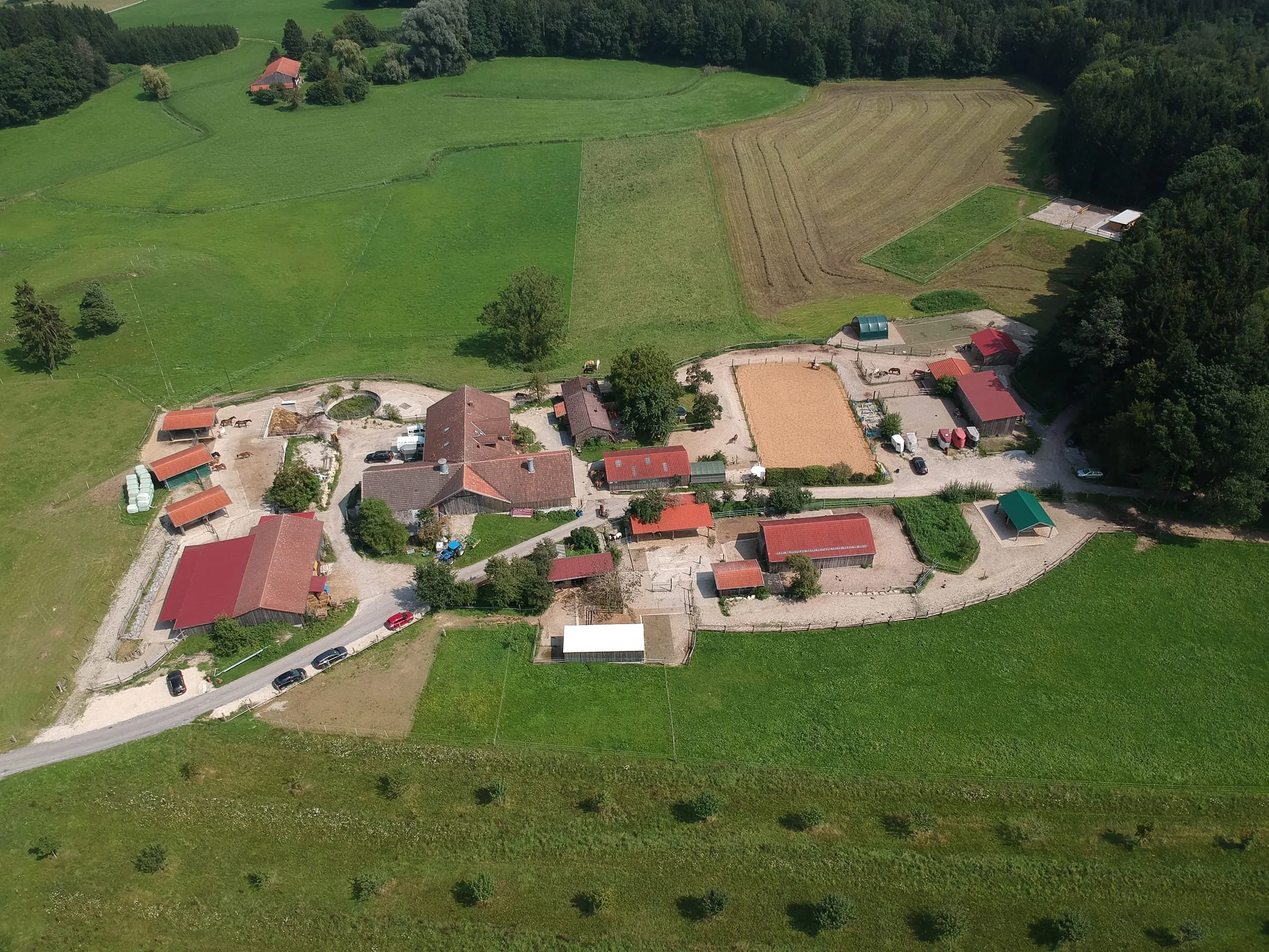 Yubii Home: Ein Pferdehof wird smart