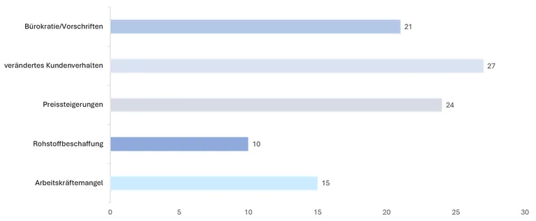 Die aktuell gr&ouml;&szlig;ten Herausforderungen f&uuml;r Unternehmen laut der ViS-Konjunkturumfrage (Mehrfachnennungen waren m&ouml;glich).